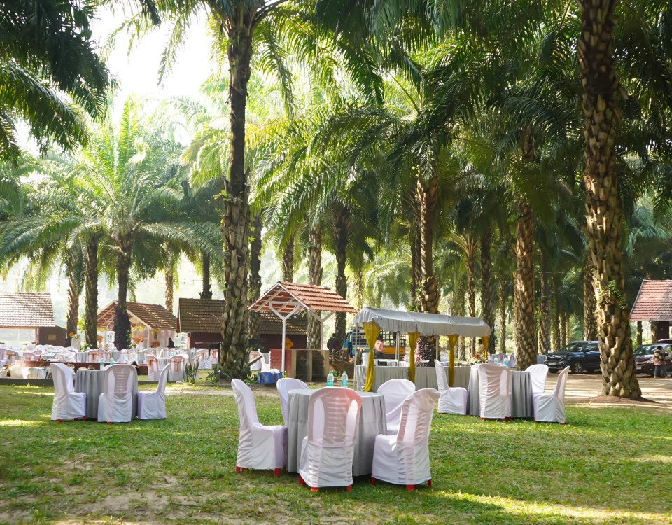 Nomad's Nook Gallery - Events_4